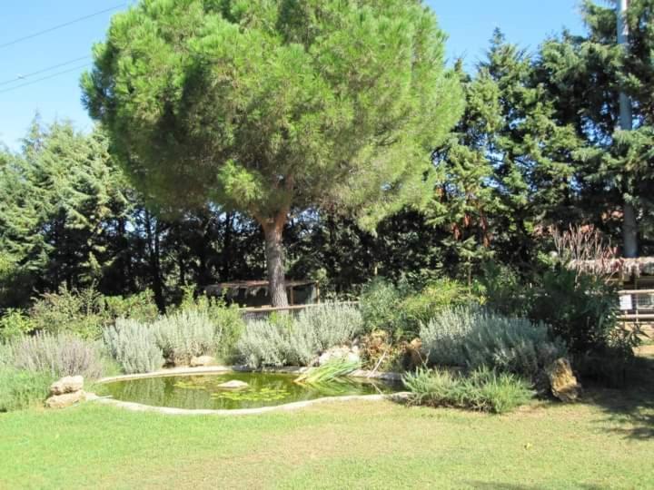 Villa Parco Delle Streghe à Scarlino Extérieur photo
